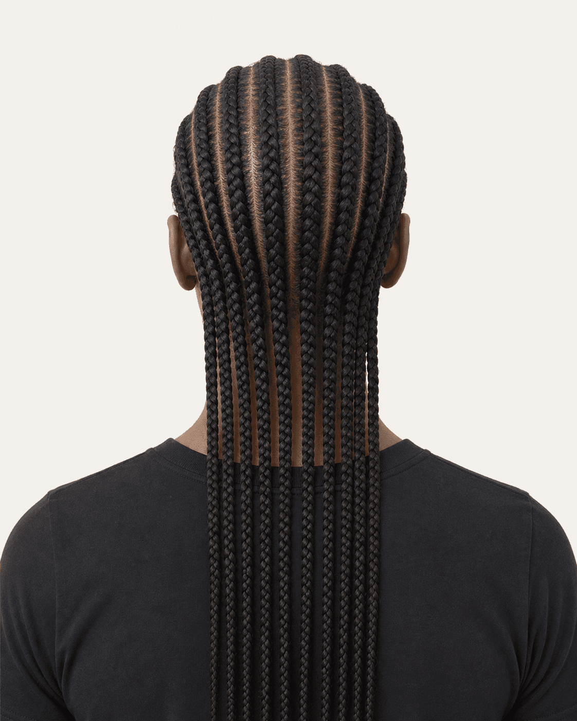 Rear view of straight-back feed-in cornrows continuing into long braid tails